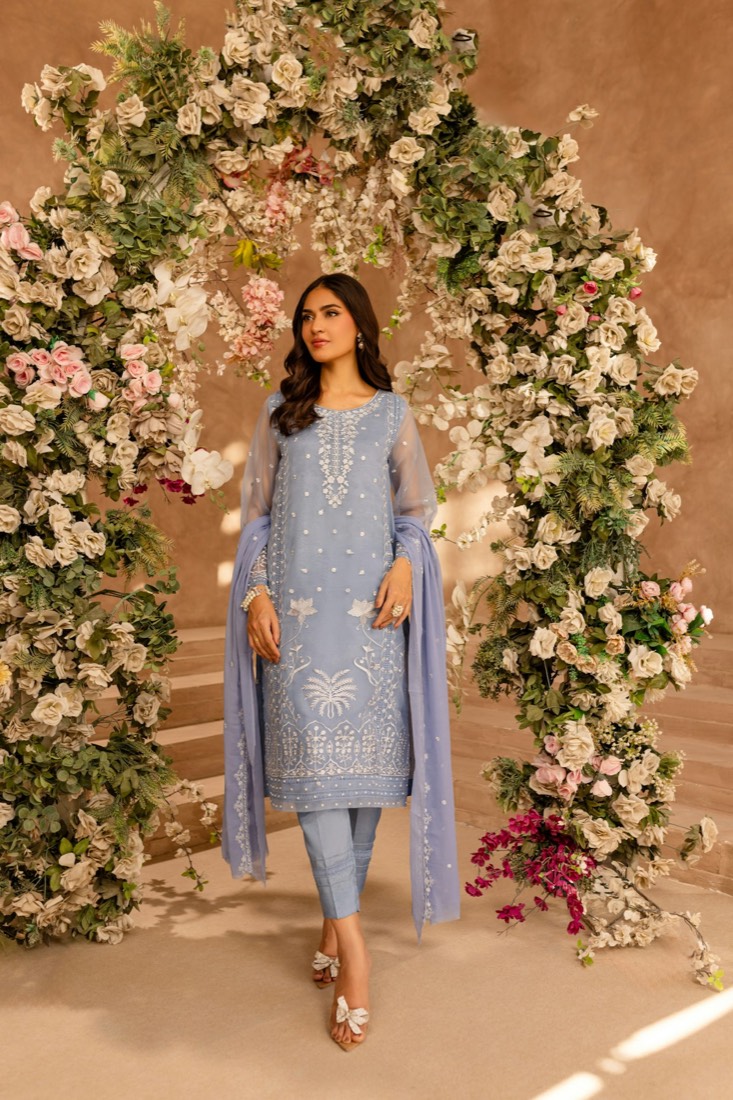 Powder Blue Embroidered Suit